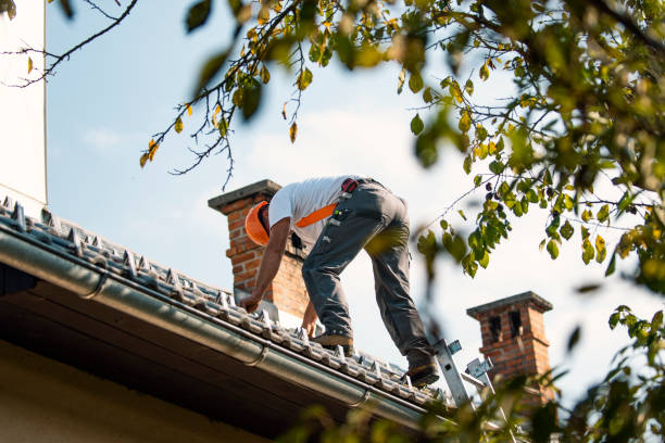 Best Flat Roof Repair Services  in Crowley Lake, CA