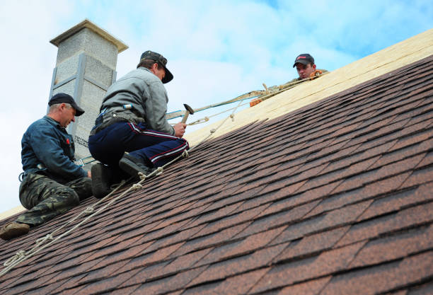 Best Roof Maintenance Services  in Crowley Lake, CA